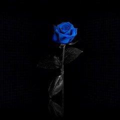 sensualsenseoflife