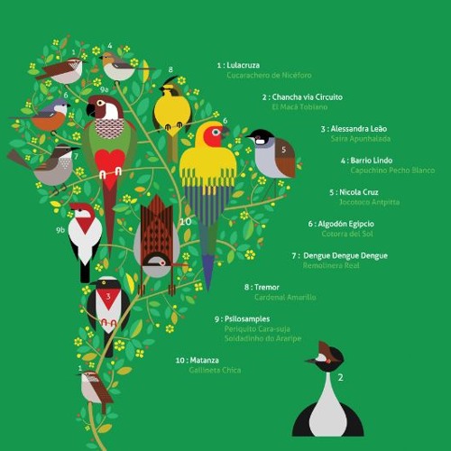 洋楽 A GUIDE TO THE BIRDSONG OF SOUTH AMERICA A Guide to the Birdsong of South America | Shika Shika