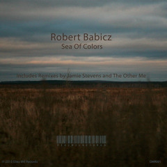Robert Babicz - Sea Of Colors(Jamie Stevens remix)