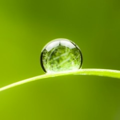Spiritual Awakening