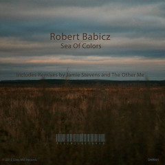 Robert Babicz - Sea Of Colors(The Other Me remix)