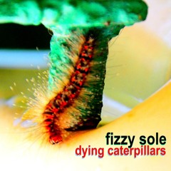 Dying Caterpillars