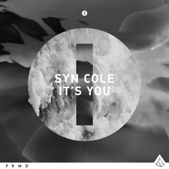 Syn Cole - It's You (Original Mix)