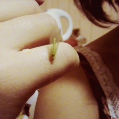 no me comentes - ft Paloma Seiffe