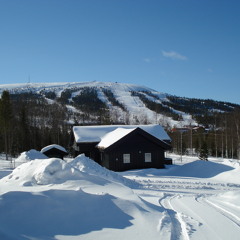 Stoten The Second Time