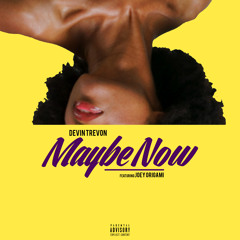 Maybe Now (ft. Joey Origami)