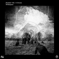 Whitespace - In Droves (Original Mix)