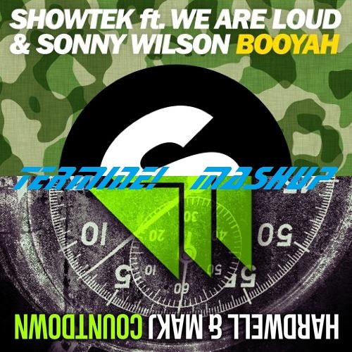 Hardwell & MAKJ Vs Showtek Feat We Are Loud & Sonny Wilson