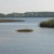 Artwork for Patrick Hartsfield with Grayton Beach State Park on Dawn Patrol