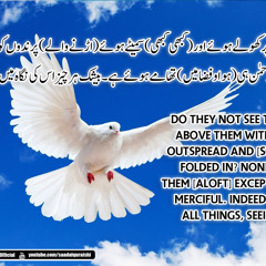 Listen Amazing Recitation of SURAH AL MULK  سورة الملك (NEW) 15 to 22 By Saad Al-Quraishi