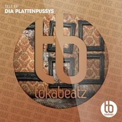 DIA- Plattenpussys - Tille (Marcapasos Remix)