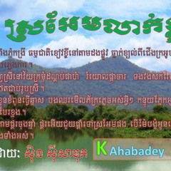 Sro - Aem Leak Kloun (Piano Version)