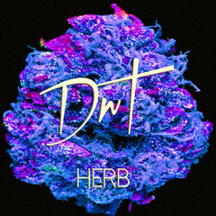 DnT - Herb