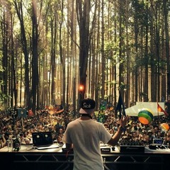 Bassjackers & Thomas Newson ft. Ellie Goulding - Wave Your Hands Outside (Paul Porex Mashup)