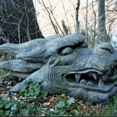 MUSIC down 4 u rough