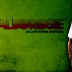 Alborosie- Police Polizia DnB Remix