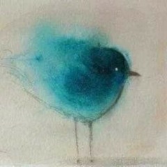 mavi kuş her daim sarhoş,biraz da bize kızmış