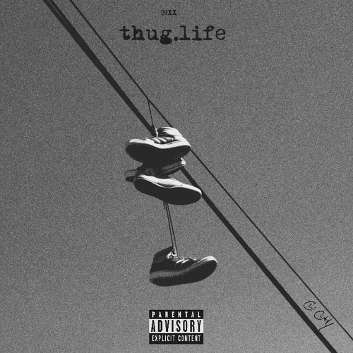 thug life (prod. tom davids)