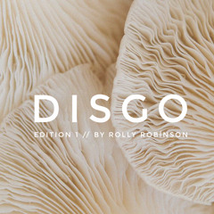 D I S G O // Edition 1