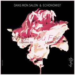 Dans Mon Salon & Echonomist - What You Feel (Michail Remix)