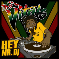 The Vitals - Hey Mr. DJ