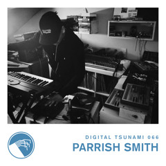 Digital Tsunami 066 - Parrish Smith
