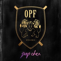 06 - Opulence Family - Topoftheworld