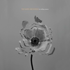 The Naked And Famous - A Small Reunion (Space Above Cover)