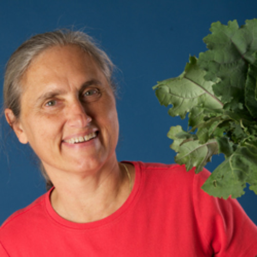Stream Reversing MS and Chronic Illness with Dr. Terry Wahls by New