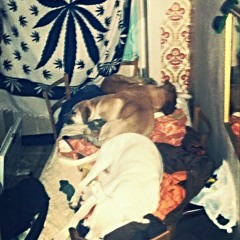 Korsakoff at HARDCORE4LIFE