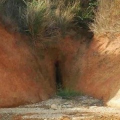 Norsk ASMR - Rectum & Scrotum spiser fitte og drikker is-kaffe