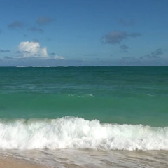 Lewis - My Love Has Gone Away