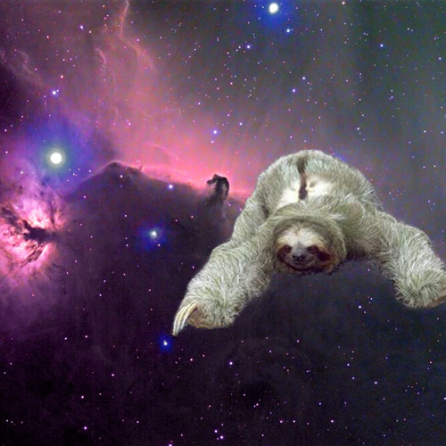 Space Sloth Minimix