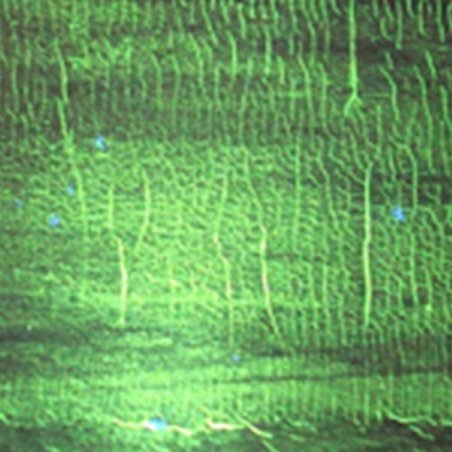 Stream Further Records | Listen to Donato Dozzy - K playlist