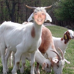 Forgetting and Learning Again