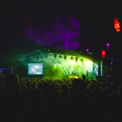 Sleep D LIVE @ Golden Plains 2015