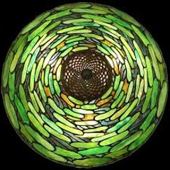 Lilly Pad