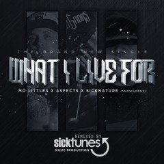 M.O. Littles feat. Aspects & Sicknature - What I Live For • Remix (prod. by sicktunes)