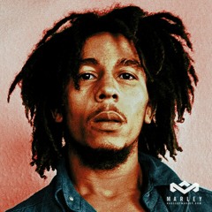 5D- Bob Marley Lost In a Safari (Feat. MannyFantom)