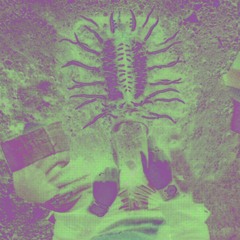 TRNSGNDR/VHS - Permanent