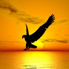 Priest Black - Take Flight