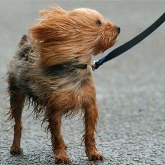 НАТАЛЬЯ ДАНИЛОВА сотрудник управления МЧС