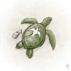 Tortuga Y Cronopio