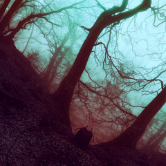 Bedroom Echos - Streetlight Forest