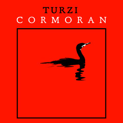 Turzi - Cormoran