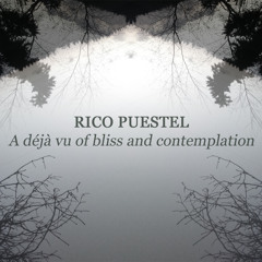 Rico Puestel - A déjà vu of bliss and contemplation