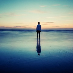 ∆ U S G E T R Ä U M T - SoulFeeD aka CenkDenizmeN