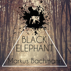 Markus Bachmann - Black Elephant (SNIPPET)