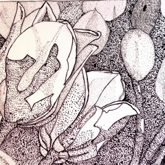 TULIP (journey song)