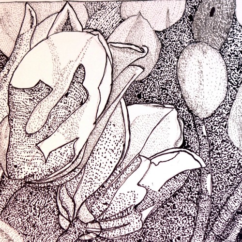 TULIP (journey song)
